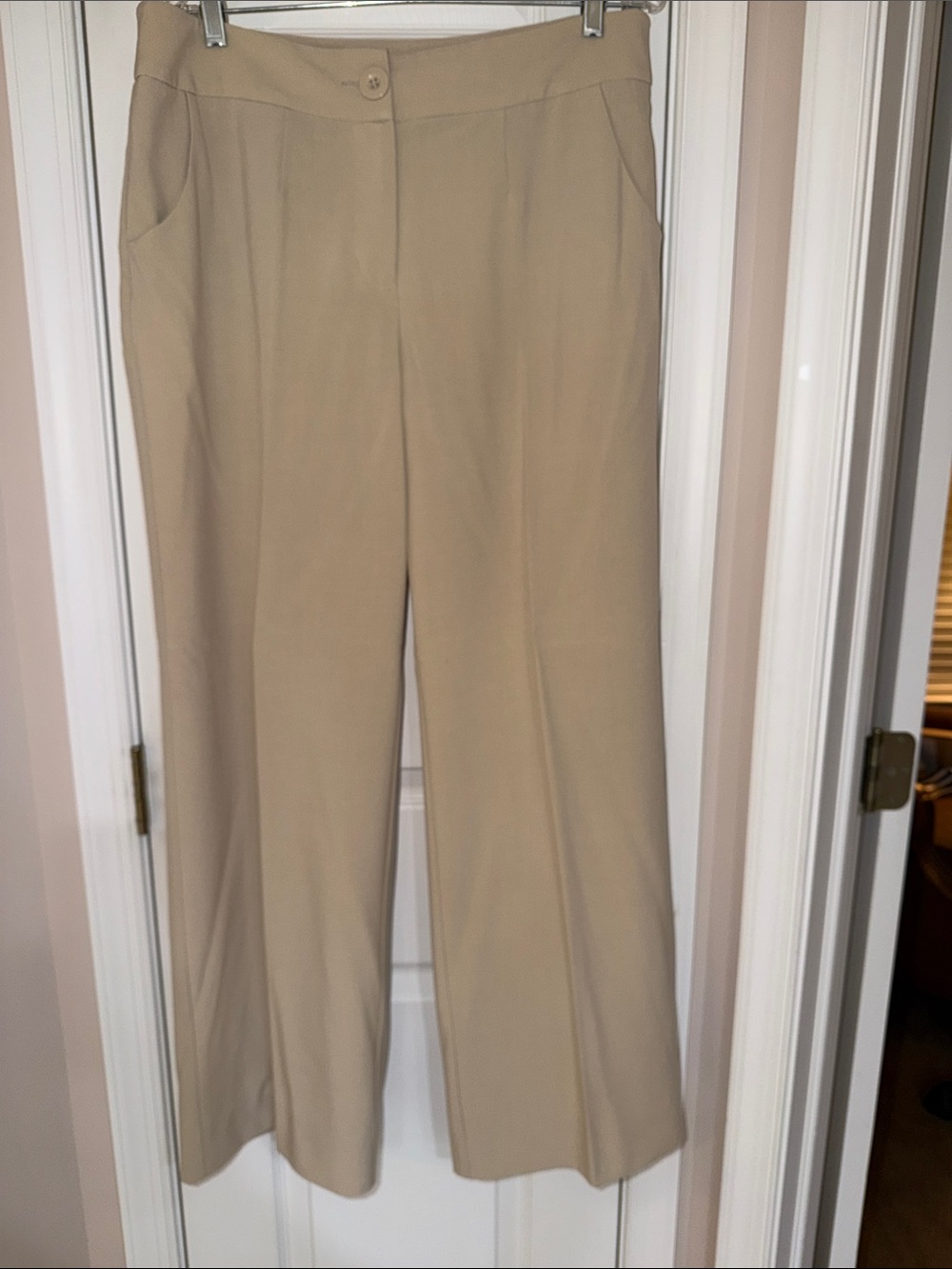 Classic Wide-Leg Women's Pants in Beige, Size 2.5